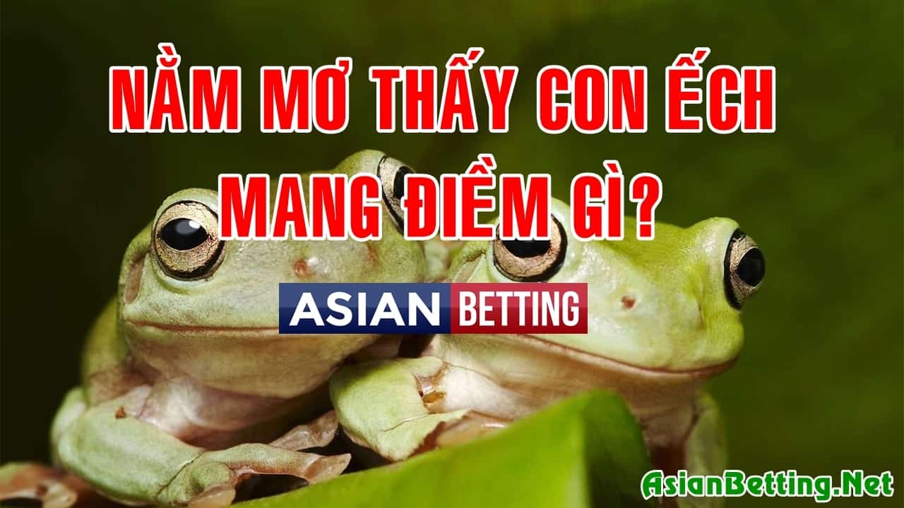 Mơ thấy ếch điềm gì? Làm gì khi mơ thấy ếch? - Asian Betting Net