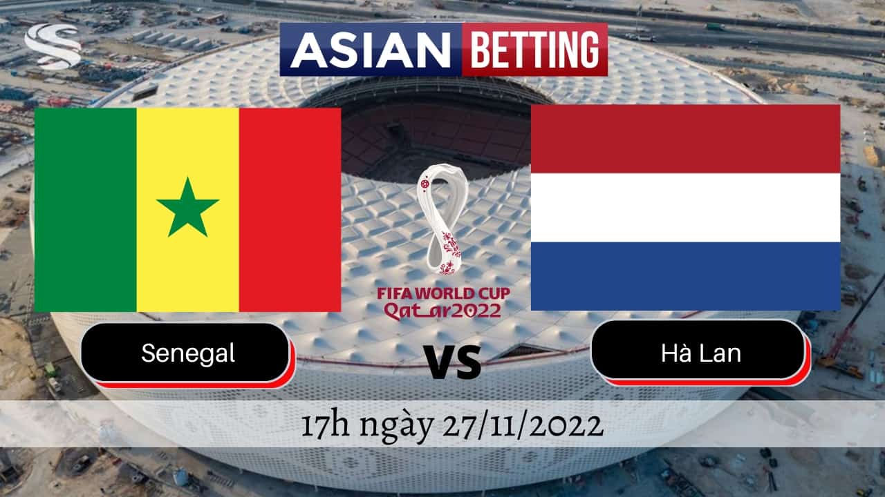Soi kèo Senegal vs Hà Lan (17h ngày 27/11/2022)